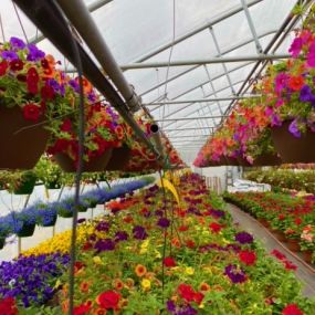 Bild von J & K's Four Seasons Floral and Greenhouse