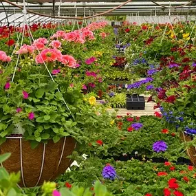 Bild von J & K's Four Seasons Floral and Greenhouse