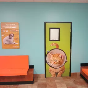 Bild von Banfield Pet Hospital - CLOSED