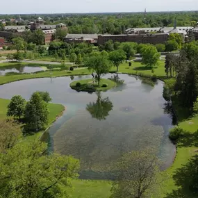 Aerial view of our pond