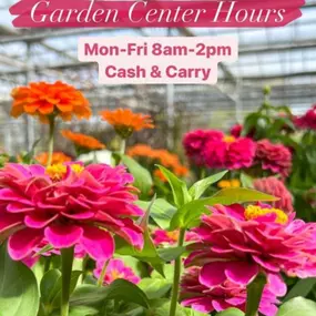 We are opening up our garden center! We are taking it week by week, but are open Monday-Friday from 8am-2pm. We do not have electricity yet, so cash and carry only!

Stop in and shop your local greenhouse!