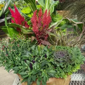 Container gardens are always in style - even in the fall! At Lynde's Greenhouse & Nursery, we sell fall container gardens!