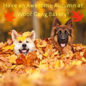 Woof Gang Bakery & Grooming San Antonio is a locally owned family operated business in Texas. We are a one-stop pet store offering a personalized customer experience to every visitor that walks through our door.