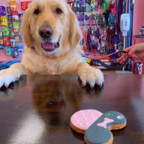 Does your pet need nutritional advice consultations? Woof Gang Bakery & Grooming  provides access to organic, premium, and raw diets, and a wide range of holistic supplements for companion animals.