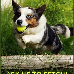 Bild von Paws & Fins Pet Shop