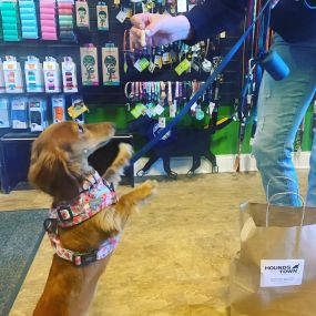 Hounds Around Town is a locally owned family operated business in Wisconsin. We are a one-stop pet store offering a personalized customer experience to every visitor that walks through our door.