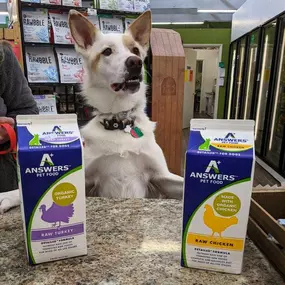 Does your pet need nutritional advice consultations? Healthy Pet Products provide access to organic, premium,and raw diets, and a wide range of holistic supplements for companion animals.