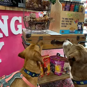 Woof Gang Bakery and Grooming Lakewood Ranch is a locally owned family operated business in Florida. We are a one-stop pet store offering a personalized customer experience to every visitor that walks through our door.