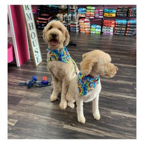 Do you need someone to deliver pet products at your doorsteps? Woof Gang Bakery & Grooming Boulder is a local store-to-door delivery service in Colorado to fulfil all of your companion animal’s needs.