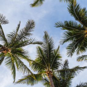 Bild von Sanibel Island Beach Resort