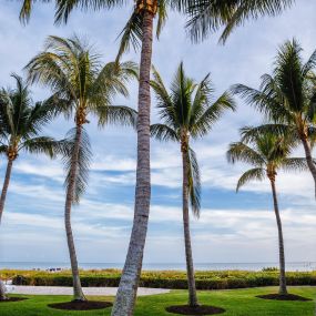 Bild von Sanibel Island Beach Resort