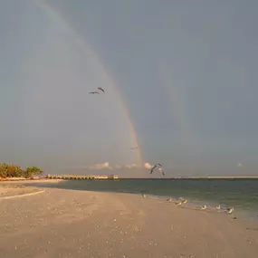 Bild von Sanibel Island Beach Resort