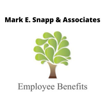 Logo from Mark E. Snapp & Associates