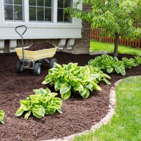 Mulch and Topsoil