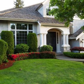 Landscaping Tips for Homeowners