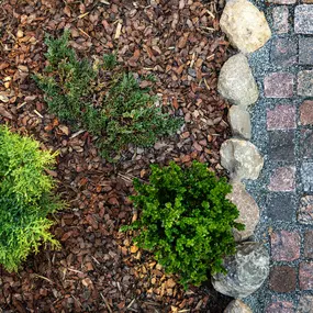 Fall Mulching