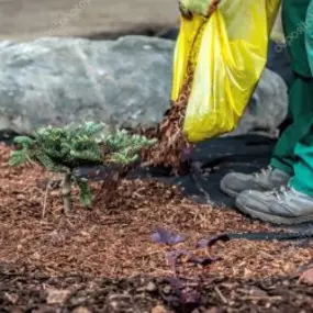 Popular Mulch Choices for Delivery