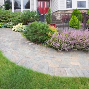 Pavers and Wall Stones