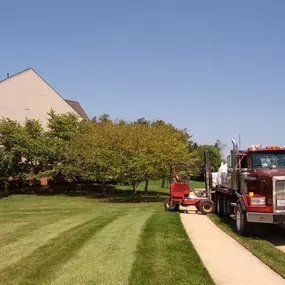 Mulch Delivery