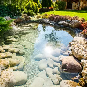 Backyard Ponds