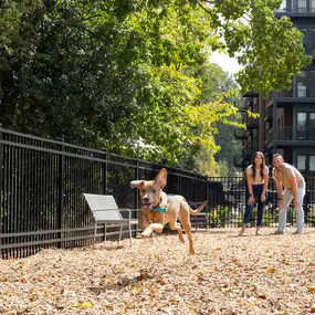 Fenced Dog Park at Camden NoDa in Charlotte North Carolina