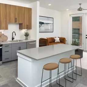 Mixed Design kitchen with matte black hardware and stainless steel appliances at Camden NoDa in Charlotte North Carolina