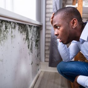 Mold on Wall