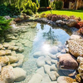 Things You Need to Know About Backyard Ponds