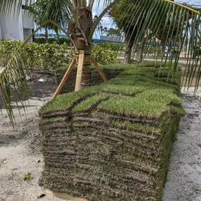 fresh sod pallets