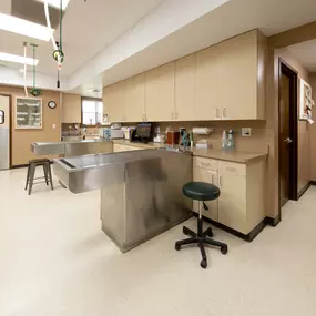 Our facility houses multiple exam rooms, a treatment area, an in-house laboratory, a surgical suite, and digital radiography and ultrasound technology.