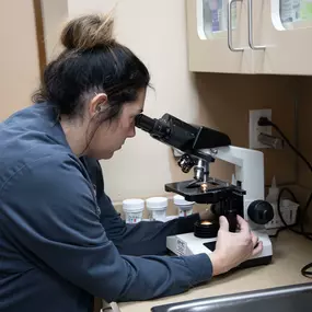 A veterinary technician examines a sample using a microscope in our on-site diagnostic laboratory.