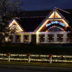 commercial christmas lights Buford GA