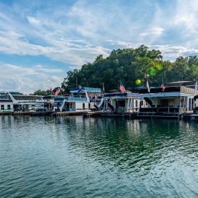 Bild von Dale Hollow State Park Marina