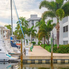 Bild von Palm Harbour Marina