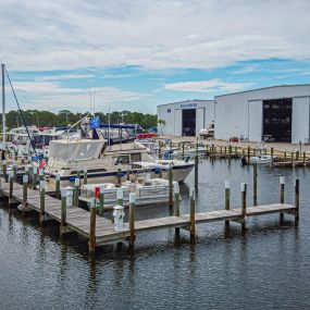 Bild von Palm Harbour Marina