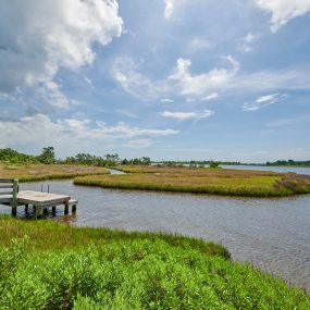 Bild von Harbor Point Campground