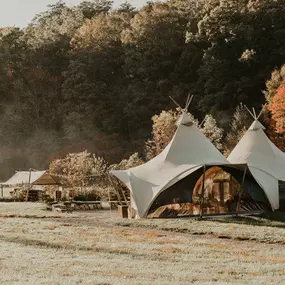 Bild von Under Canvas Great Smoky Mountains