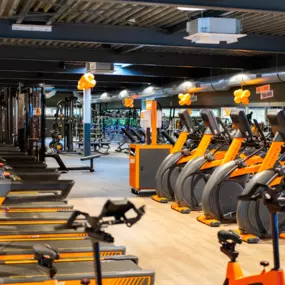 Basic-Fit Almere Dwangmolenstraat 24/7 - cardio zone