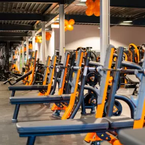 Basic-Fit Almere Dwangmolenstraat 24/7 - free weight zone