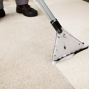 Bild von Heirloom Oriental Rug Cleaning