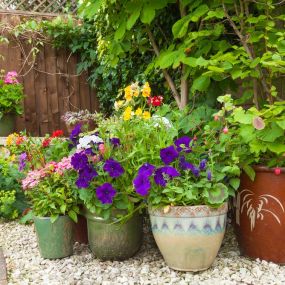 Can Topsoil Be Used in Pots?