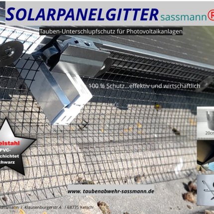 Logótipo de Sassmann Taubenabwehr PV-Anlagen/Online-Shop