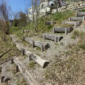 Bild von Bolz Gartenbau GmbH