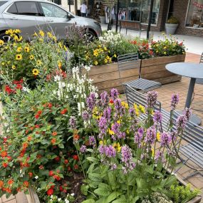Heart of Jasper Greater Downtown Jasper Businesses,  it has been so fun to watch the planters grow around the Jasper square! They look lovely! We enjoy fun collaborations like this one! TEAM WORK MAKES THE DREAM WORK! Call us to find out our secret to make the planters well fed all summer.