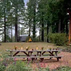 Meadow at spirit camp surrounded by redwoods and garden. Private gathering space for events and retreats