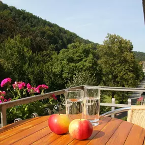 Bild von Hotel Lindenhof Bad Schandau