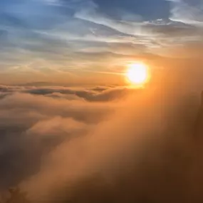 Bild von Hotel Lindenhof Bad Schandau