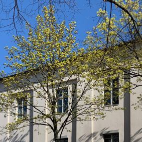 Bürogebäude am Weigandufer in Berlin.