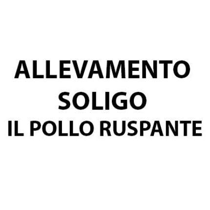 Logotyp från Allevamento Soligo Il Pollo Ruspante
