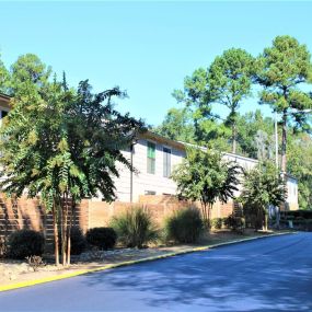 Street leading to the property